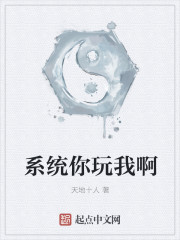 系统你玩我啊封面