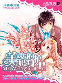 美女的贴身护卫封面