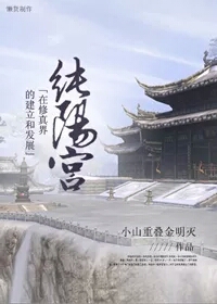 纯阳宫在修真界的建立及发展封面