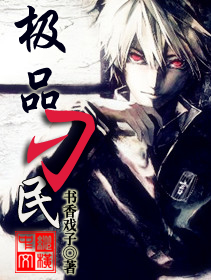 极品刁民封面