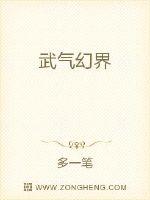 武气幻界封面