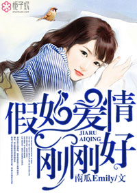 假如爱情刚刚好封面