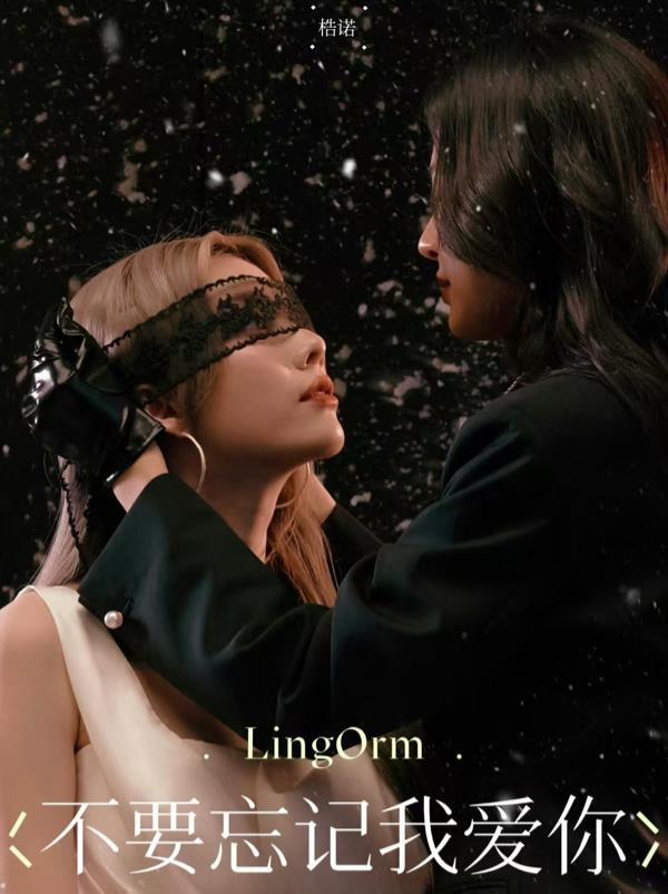 不要忘记我爱你：LingOrm封面