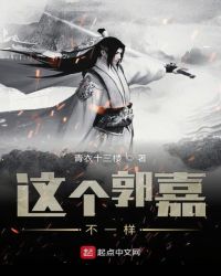 这个郭嘉不一样封面