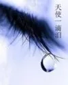 天使一滴泪封面
