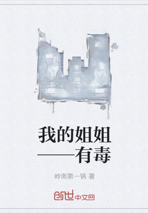 我的姐姐——有毒封面