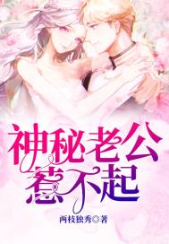 神秘老公惹不起封面