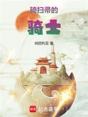 尊敬的扫帚骑士大人封面