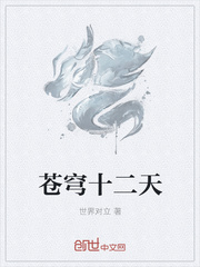 苍穹十二天封面