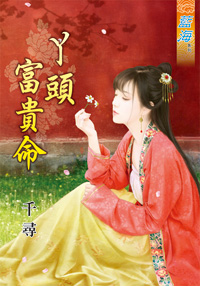 丫头富贵命封面