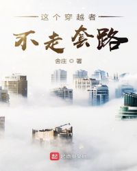 这个穿越者不走套路封面