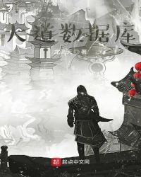 大道数据库封面