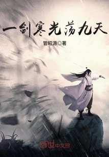 一剑寒光荡九天封面