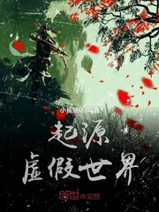 起源虚假世界封面