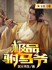 极品驸马爷封面