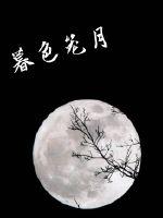 暮色笼月封面
