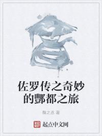 佐罗传之奇妙的酆都之旅封面