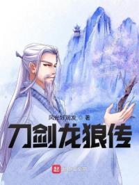 刀剑龙狼传封面