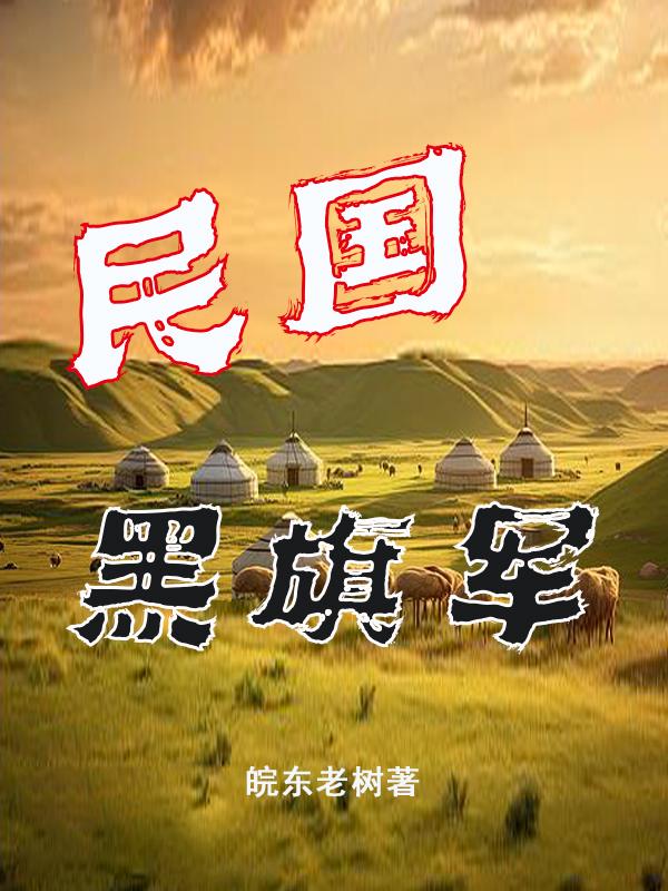 民国黑旗军封面
