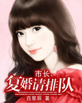 市长复婚请排队封面