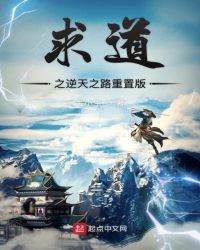 求道之逆天之路重置版封面