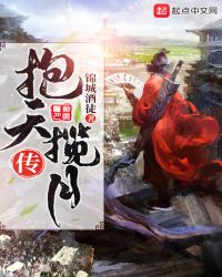 抱天揽月传封面