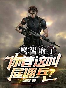 鹰酱麻了你管这叫雇佣兵？封面