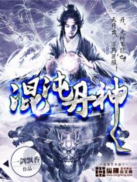 混沌丹神封面