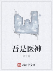 吾是医神封面