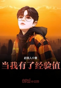 当我有了经验值封面