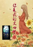 你是我的文心兰封面