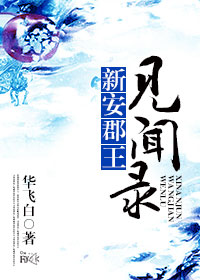 新安郡王见闻录封面