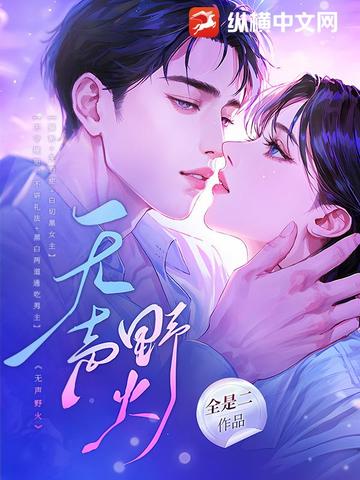 无声野火封面