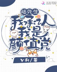 陆先生我承认我是颜值党封面