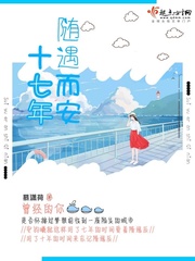 随遇而安十七年封面