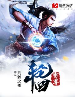 轮回雷尊封面
