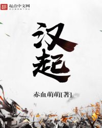 汉起封面