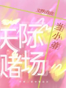 文野：我在天际赌场当小弟封面