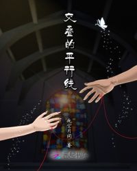 交叠的平行线封面