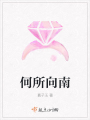 何所向南封面