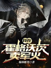 我在霍格沃茨卖军火封面