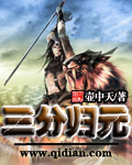 三分归元封面