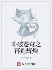 斗破苍穹之再造辉煌封面