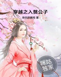 穿越之入赘公子封面