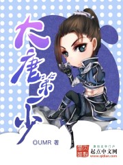 大唐第一少封面