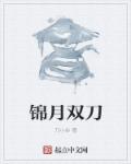 锦月双刀封面