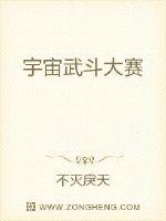 宇宙武斗大赛封面