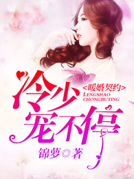暖婚契约:冷少,宠不停封面
