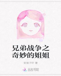 兄弟战争之奇妙的姐姐封面