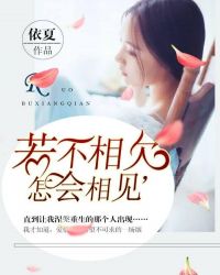 若不相欠，怎会相见封面
